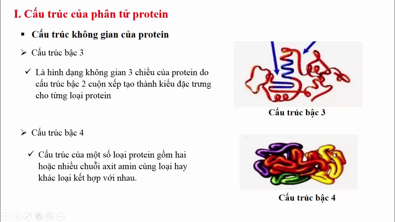 don-phan-cua-protein-la-4